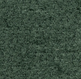 Boucle - Moss