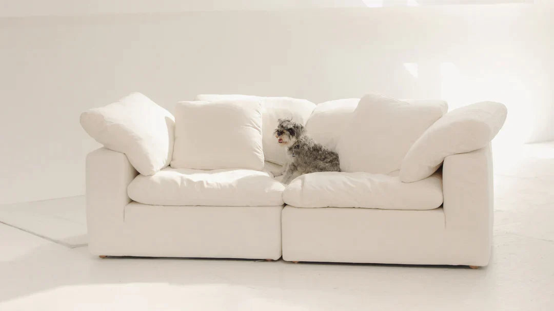two seater cloud couch