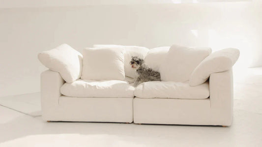 two seater cloud couch