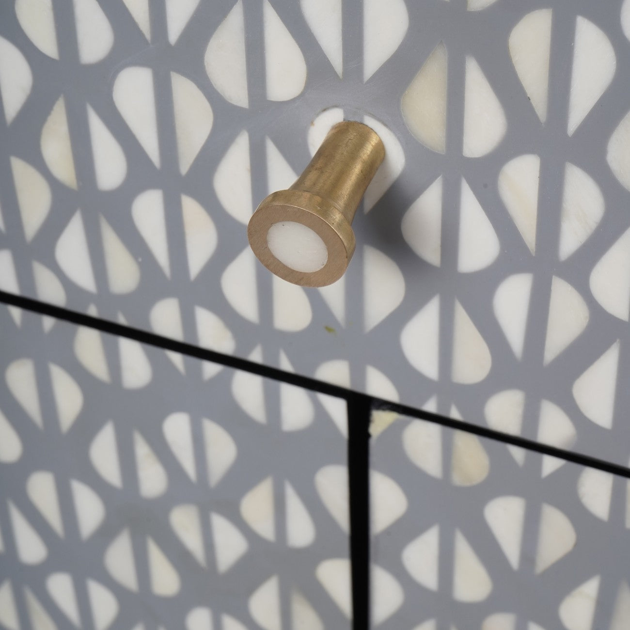 VERNO Bone Inlay 2 Door Cabinet
