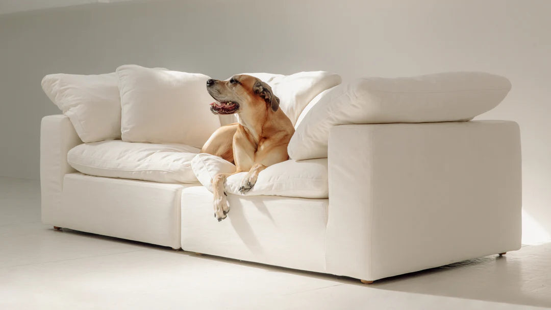 modern modular medium sofa with soft cushions and flexible configuration for living rooms
