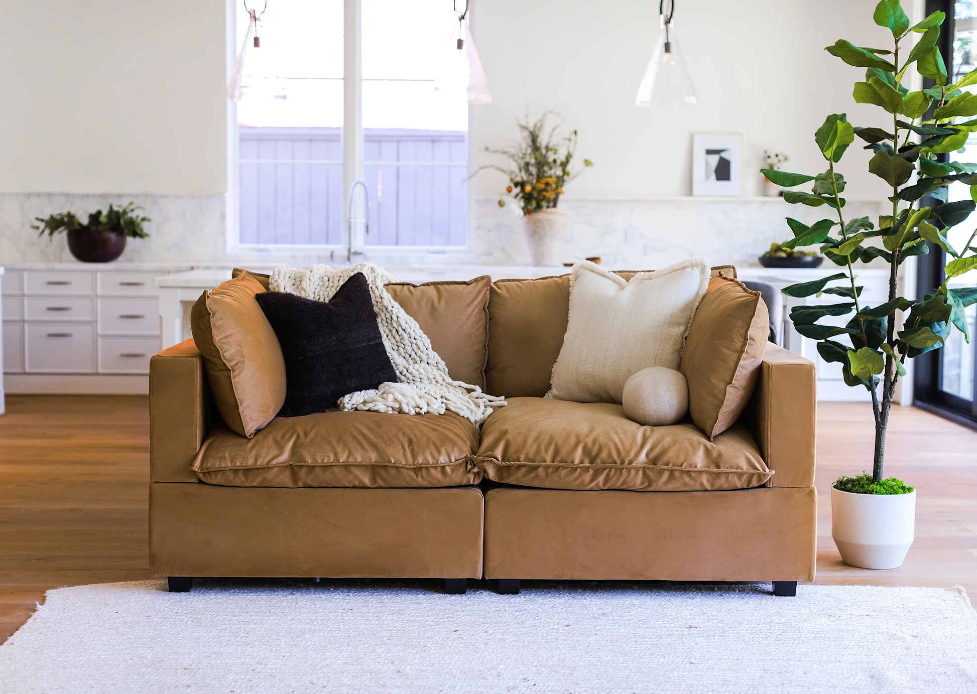 modern 2 seater modular sofa styled in a contemporary living room
