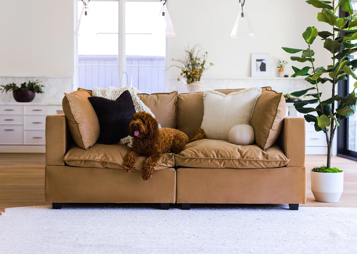 compact 2 seater modular sofa with soft fabric upholstery and modern design
